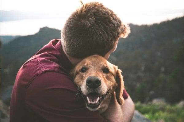 Dog Adoption